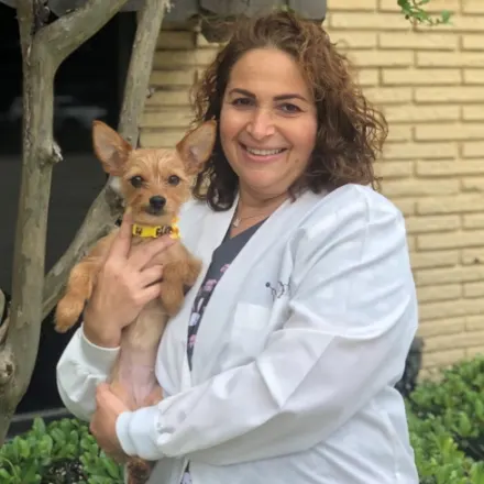 Portrait of Dr. Tami Lass holding a small brown dog